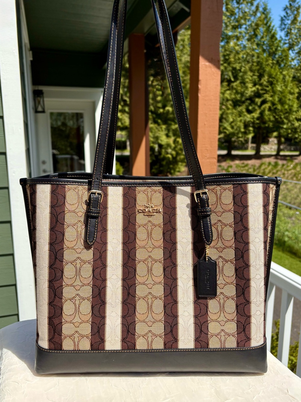 COACH Large Mollie Tote Bag
In Signature Jacquard With Stripes C4008